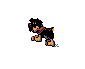 oinkoink.gif (621 bytes)
